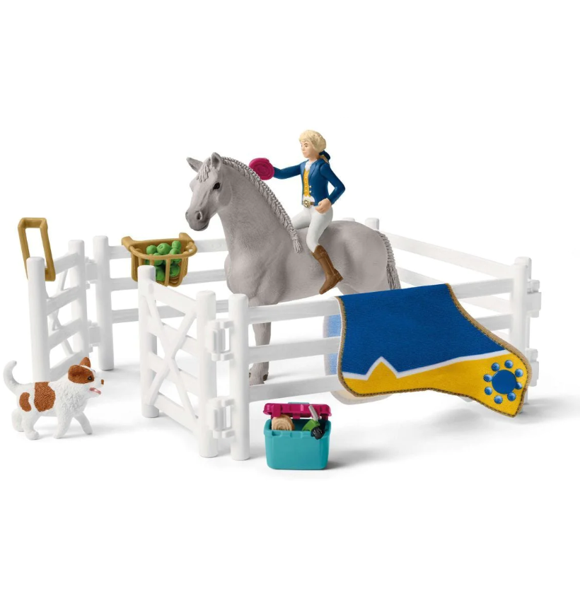 Schleich Toy horse with rider and accessories on a white background in UIreland