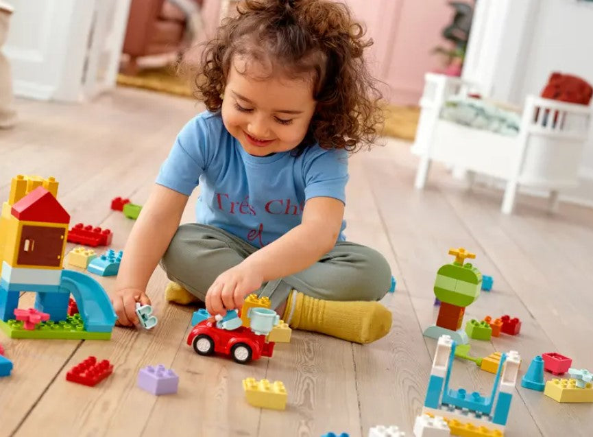 Lego Duplo Delux Brick Box