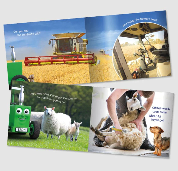 Tractor Ted A Summer's Day Book