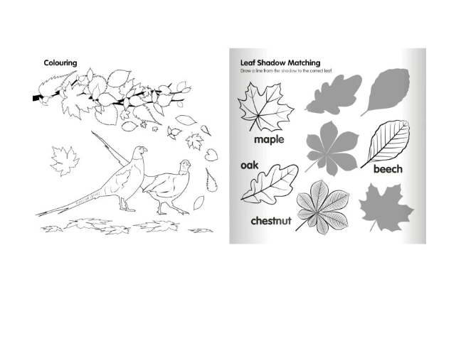 Tractor Ted Fun on the Farm Seasons Book