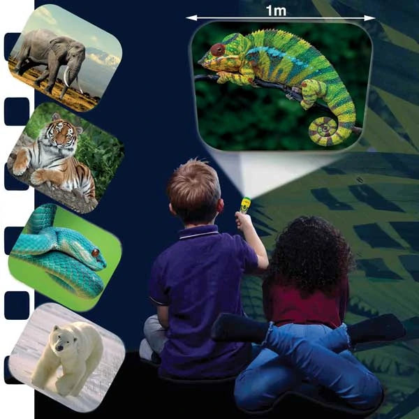 Brainstorm Animal Torch and Projector projecting a chameleon image with other wildlife images shown alongside