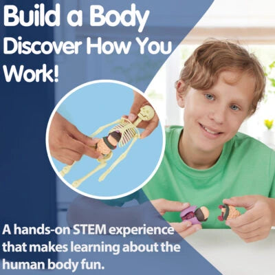 Brainstorm Build A Body anatomy activity showing a child fitting organs into the body model