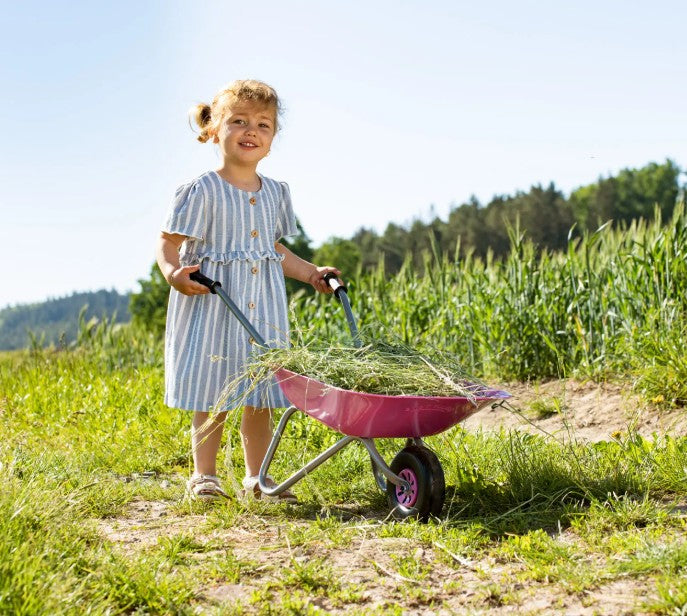 Child pushing Rolly pink metal wheelbarrow outdoors in sunny garden, Ireland