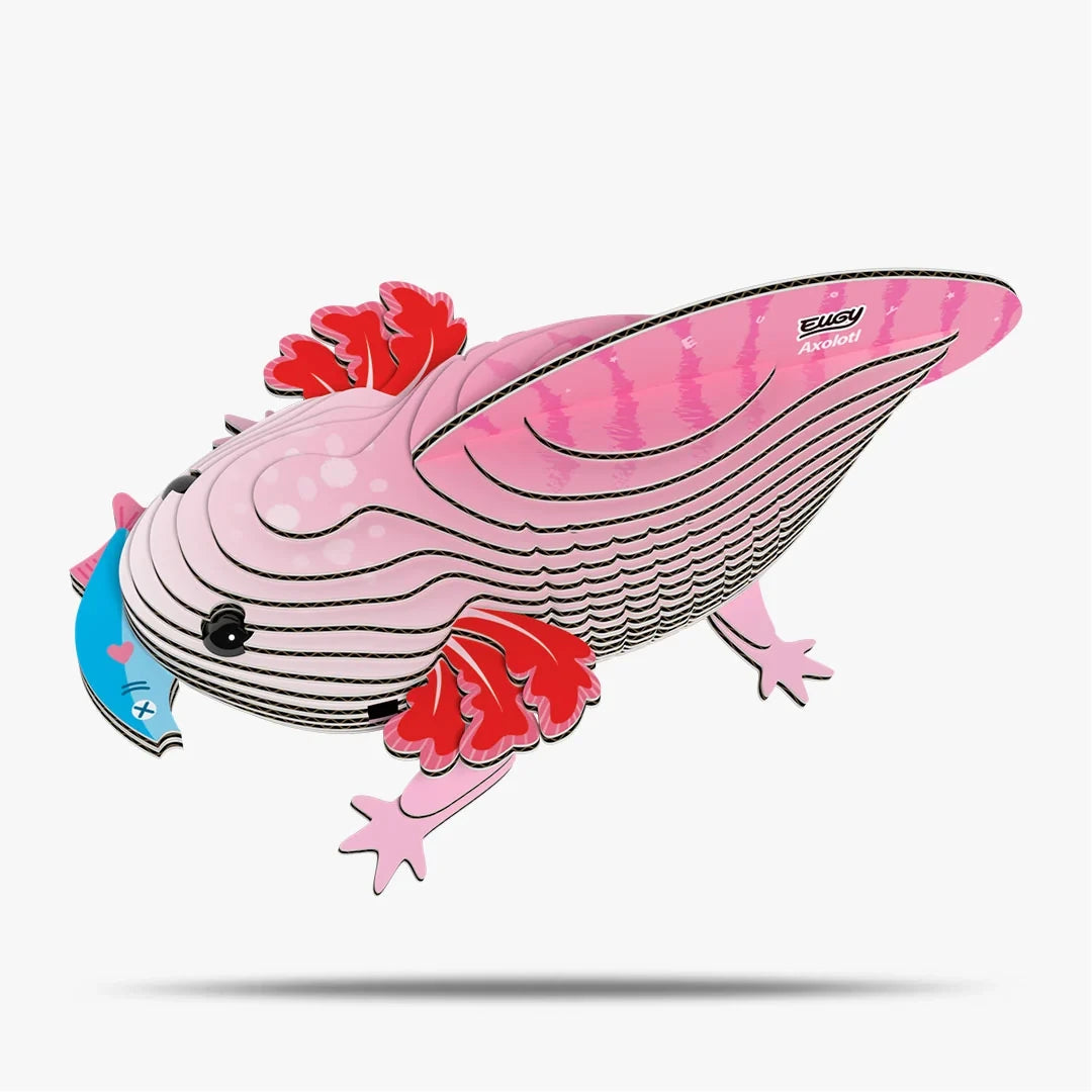 EUGY Axolotl right side view showing layered cardboard body and curved tail