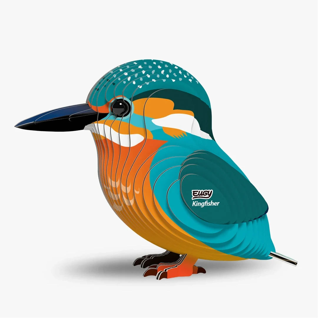 EUGY Kingfisher right side view showing blue wing and orange body