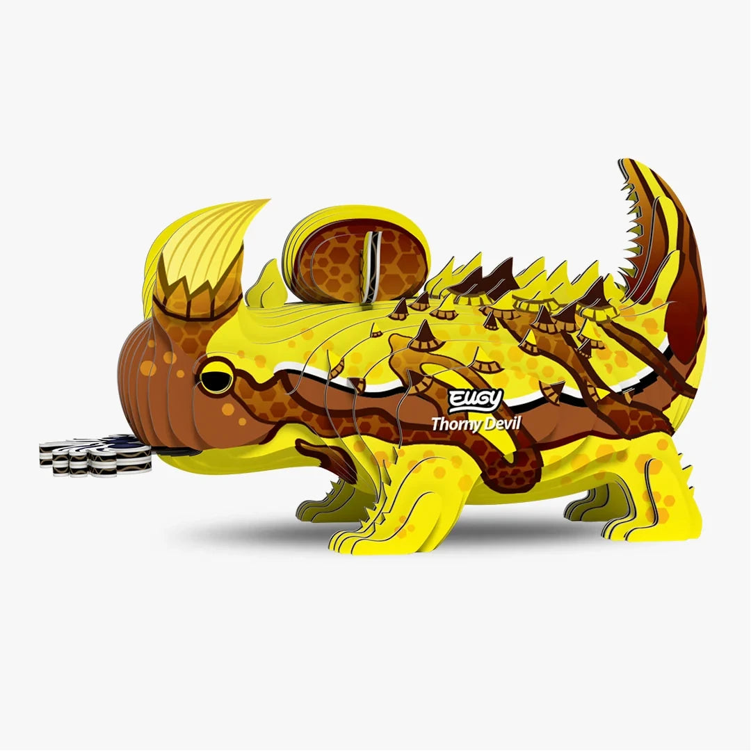 EUGY Thorny Devil right side view showing spines, legs and curled tail