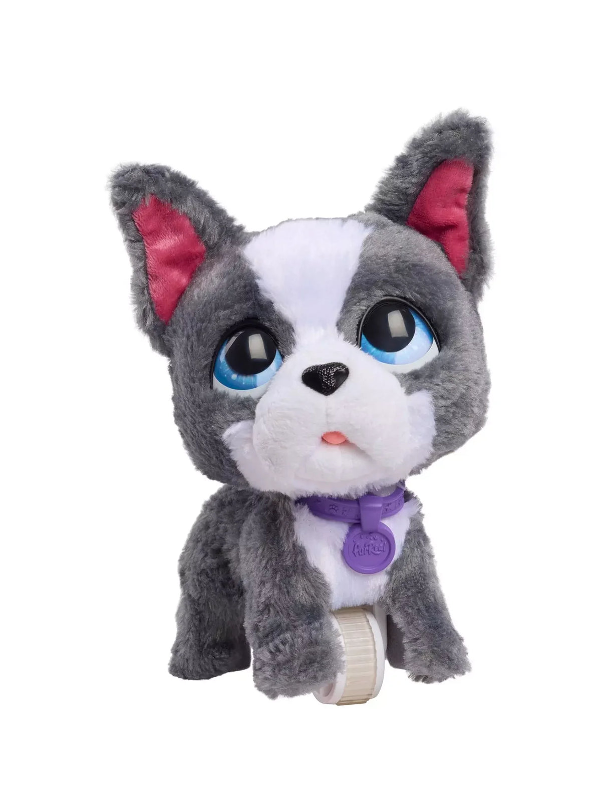 FurReal Friends Walk-a-lots Frenchie toy walking with purple collar in Ireland