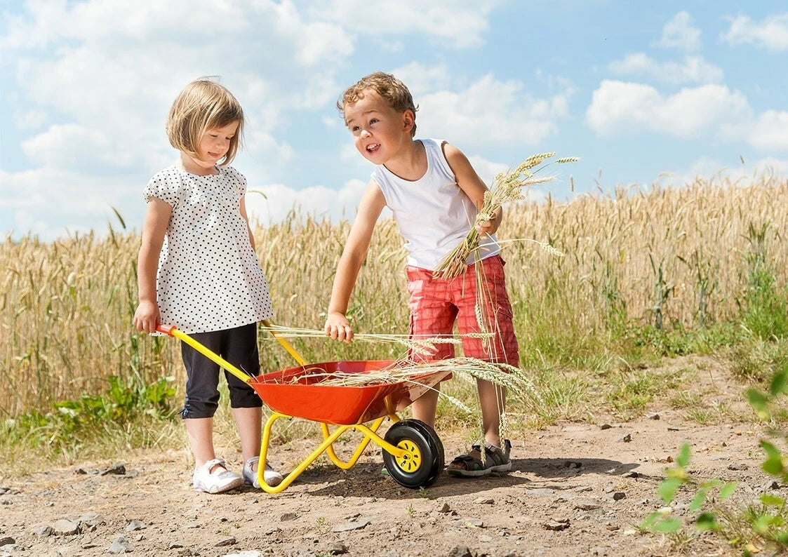 Two children with a red and yellow kids metal wheelbarrow