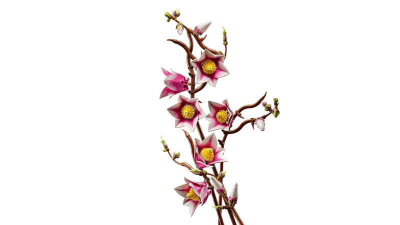 Full arrangement of LEGO Botanicals Magnolia Branches 11510 showing five branches with blossoms and buds in varied stages