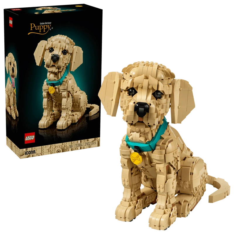 LEGO Golden Retriever Puppy box beside the completed sitting puppy model