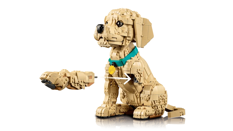 LEGO Golden Retriever Puppy model beside a separate front paw build with white direction arrows