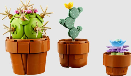LEGO Icons Tiny Plants cactus and succulent builds – Ireland