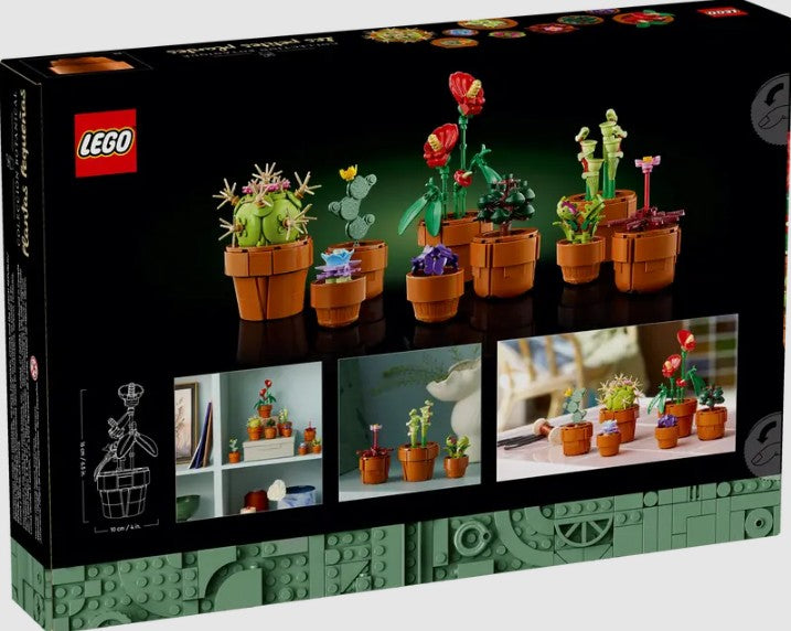 LEGO Tiny Plants 10329 lifestyle display and box art – Ireland