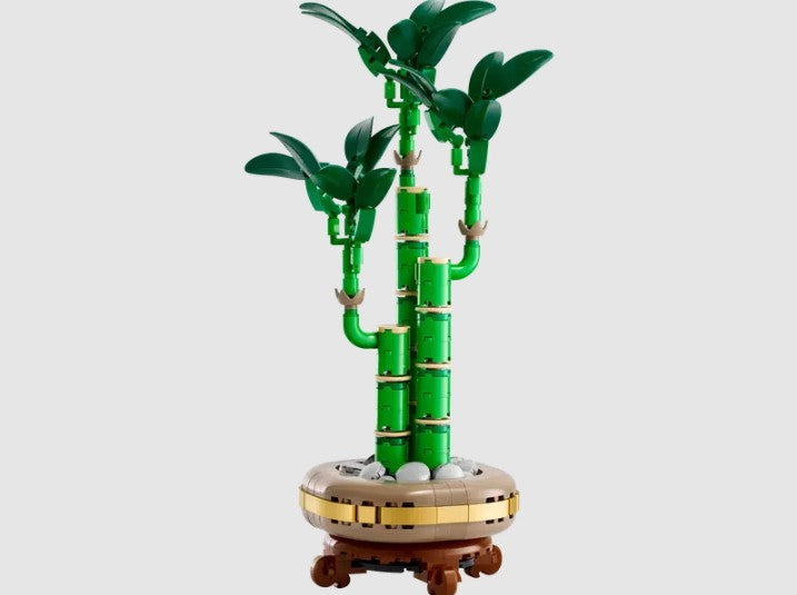 LEGO Lucky Bamboo 10344 botanical display set with three green stalks and leaf pieces – Ireland