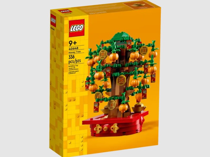 LEGO Money Tree 40648 box front showing contents and age rating – Ireland