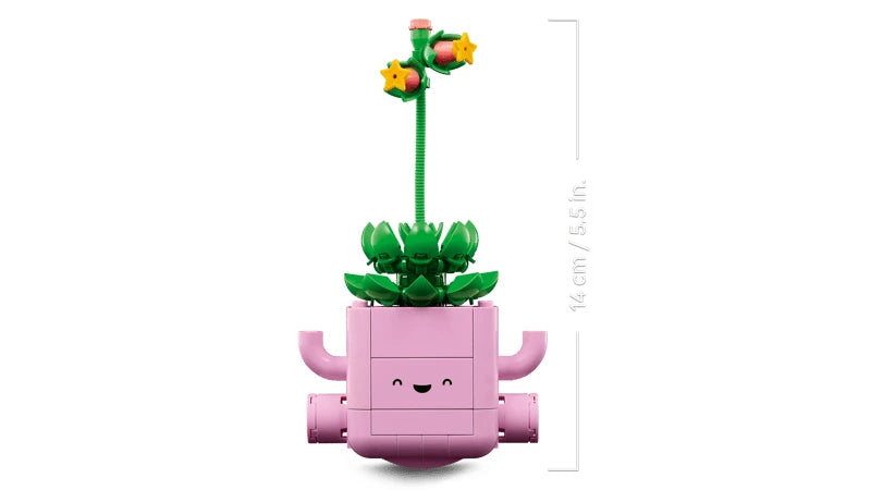 Pink smiling plant pot with green succulent and flower stem beside a height marker