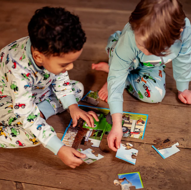 Tractor Ted 5 Farm Puzzles