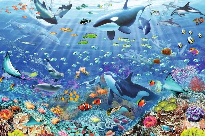 Ravensburger Colourful Underwater World 3000 Piece puzzle artwork with orcas, dolphins, sharks, tropical fish, rays and coral reef