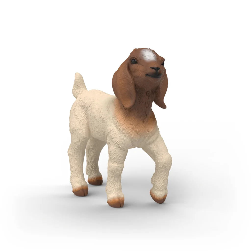 Schleich Boer Goat Kid figure standing with white body, brown head and floppy ears