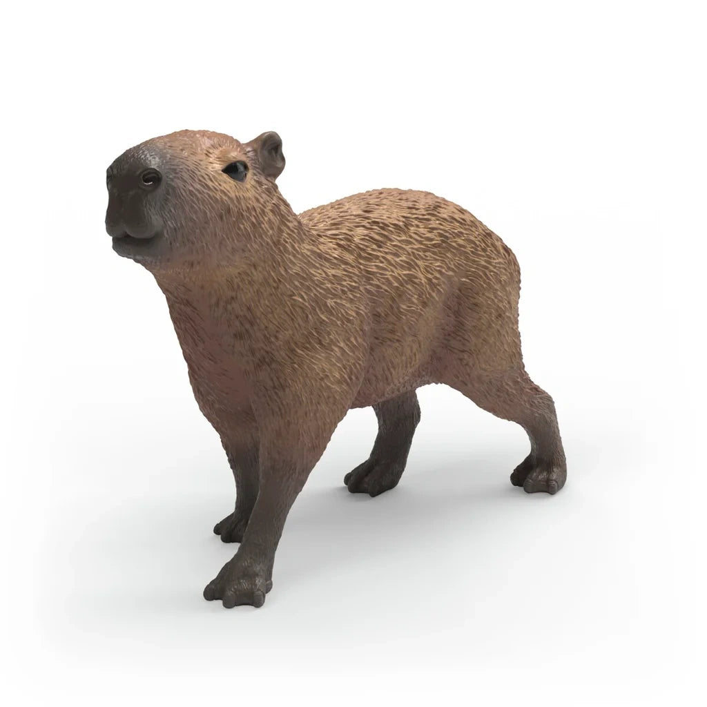 Front three-quarter view of the Schleich Capybara figure