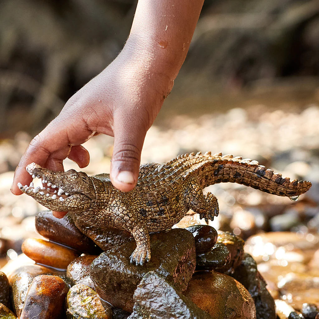 Schleich Crocodile figure on wet rocks with a hand holding its head and its teeth visible.