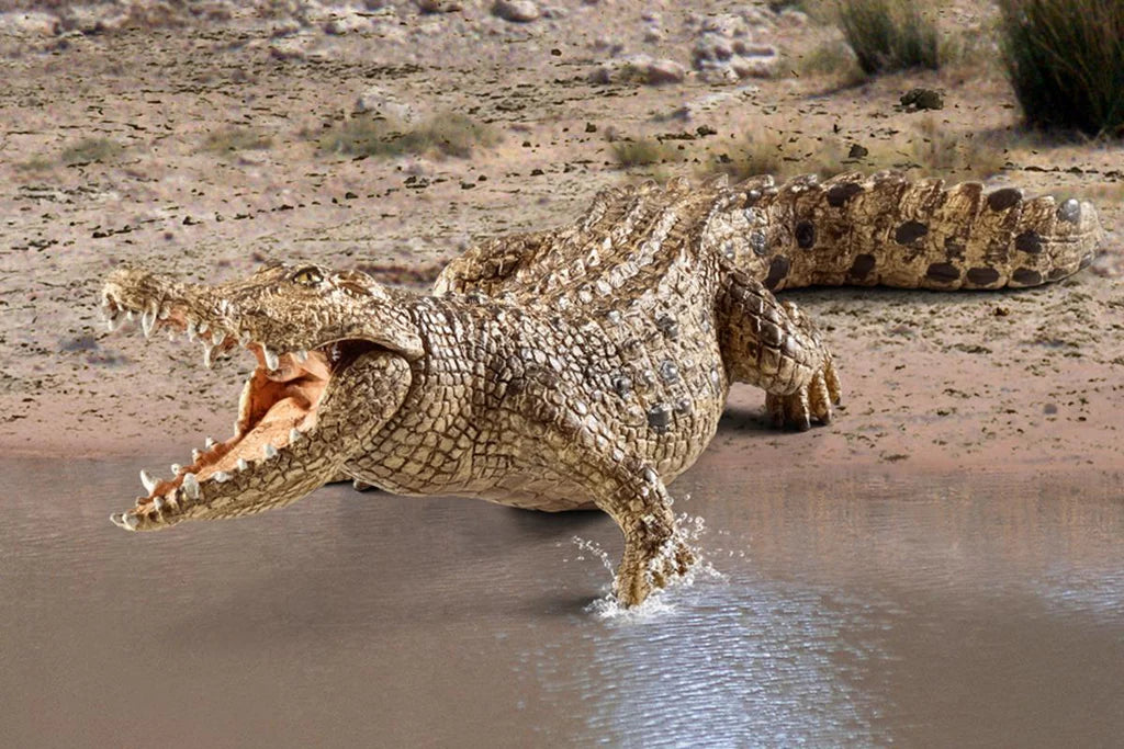 Schleich Crocodile figure with its mouth open and front legs in shallow water.