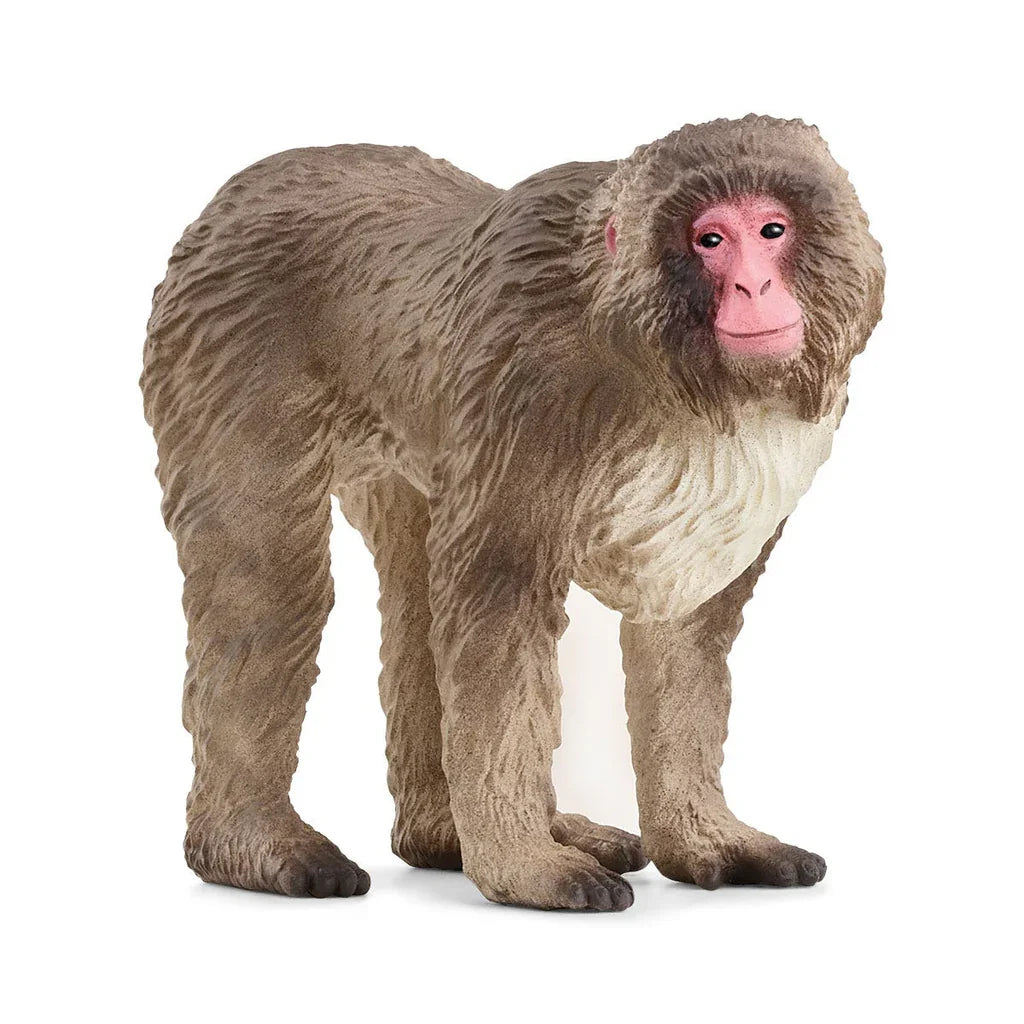 Schleich Japanese Macaque animal toy for children Ireland model 14871