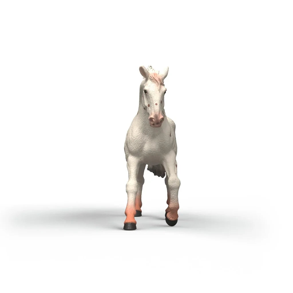 Schleich Knabstrupper Mare figure shown from the front with white mane and spotted face