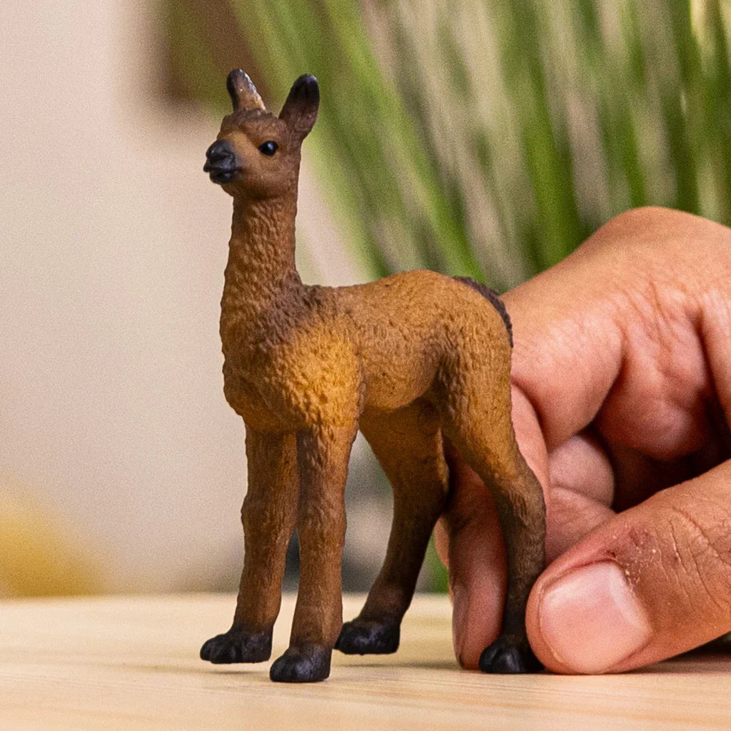 Schleich llama foal figure being held on a tabletop, showing its curly brown coat and dark pointed ears.