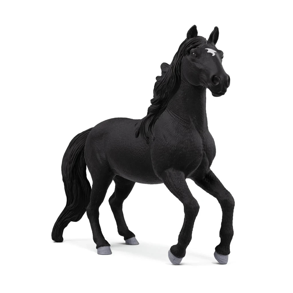 Schleich Lusitano Stallion figure shown from the front angle with black coat and raised foreleg