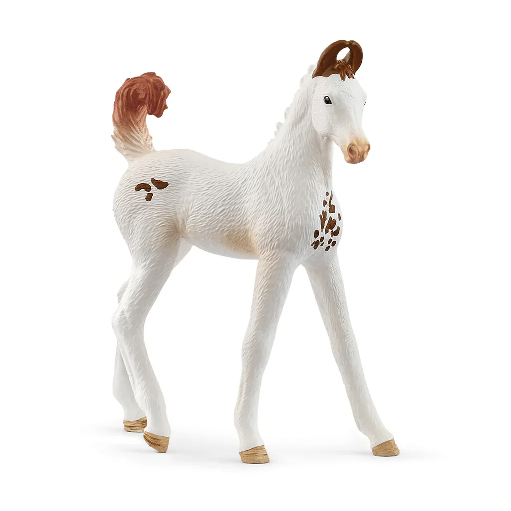Schleich Marwari Foal toy horse figure Ireland