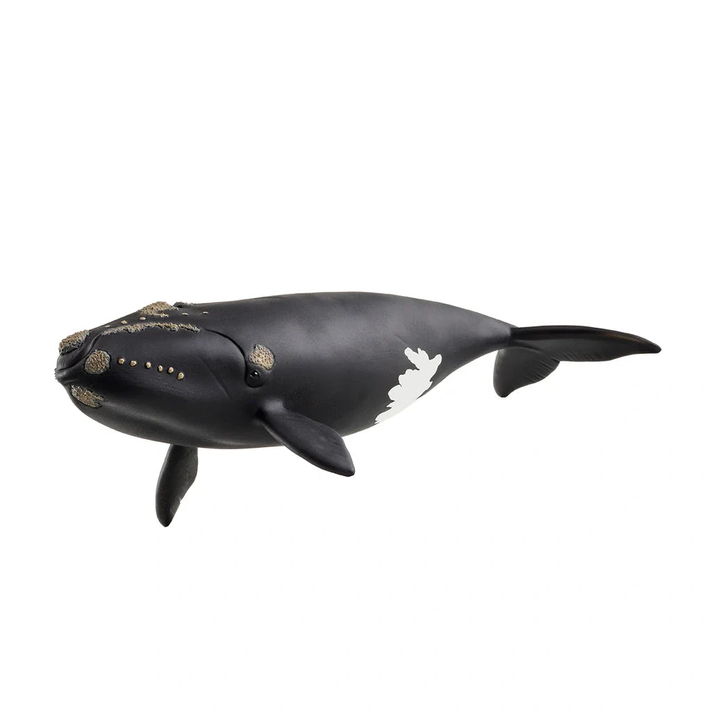 Side view of the Schleich North Atlantic Right Whale figure showing its textured head markings, front flippers and white patch near the tail