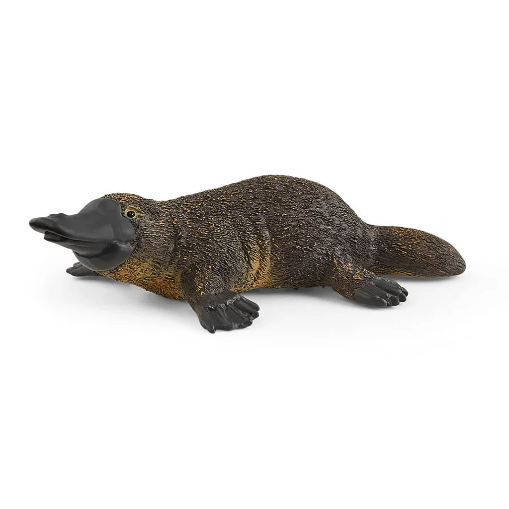 Schleich Platypus toy wild life animal figure for children Ireland model 14840