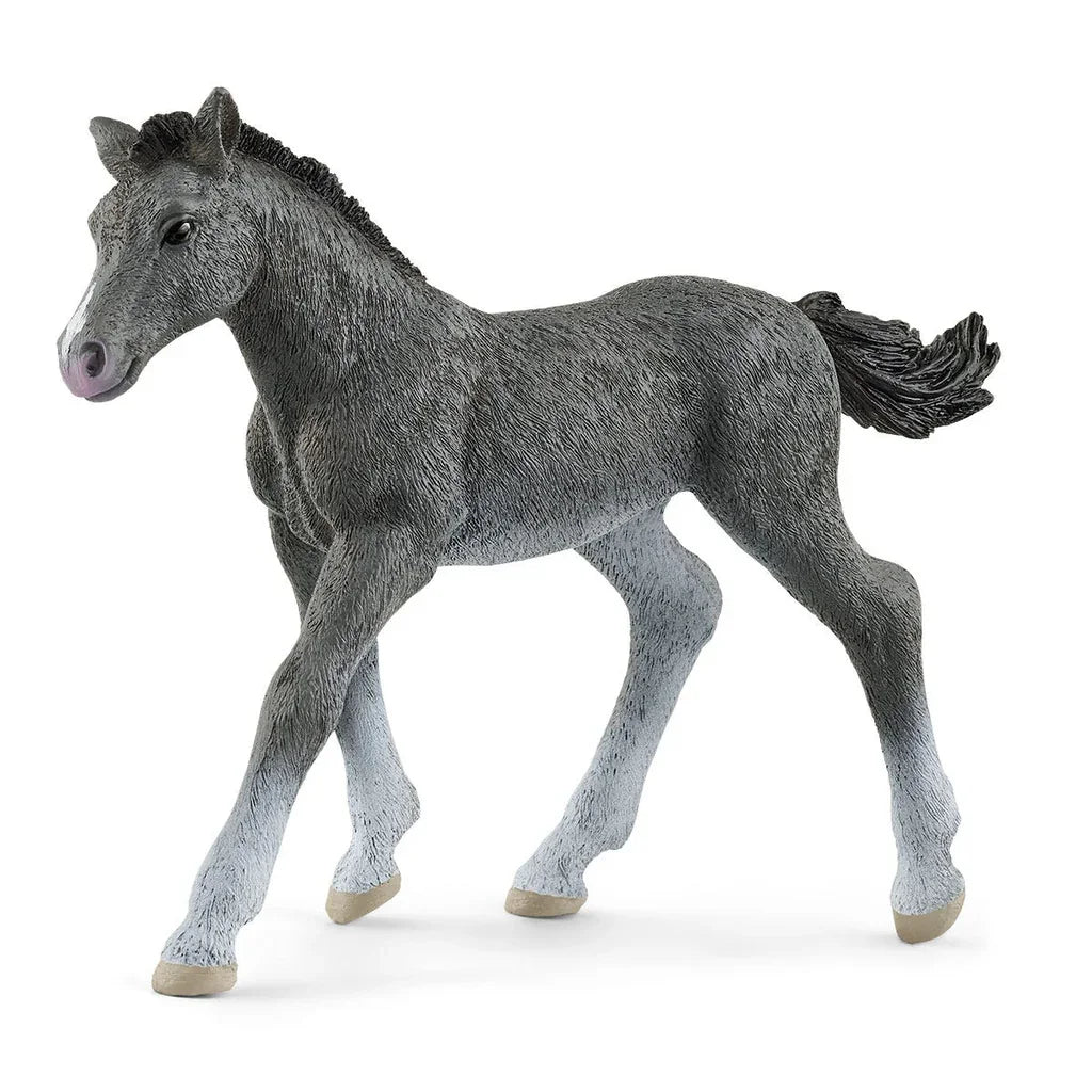 Schleich Trakehner Foal toy horse figure Ireland model 13944