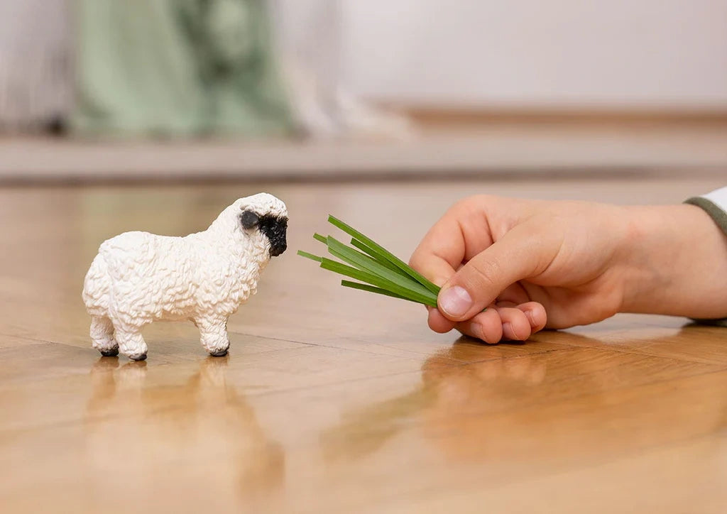 Schleich Valais Blacknose Sheep figure standing on a wooden floor beside a hand holding several green grass blades