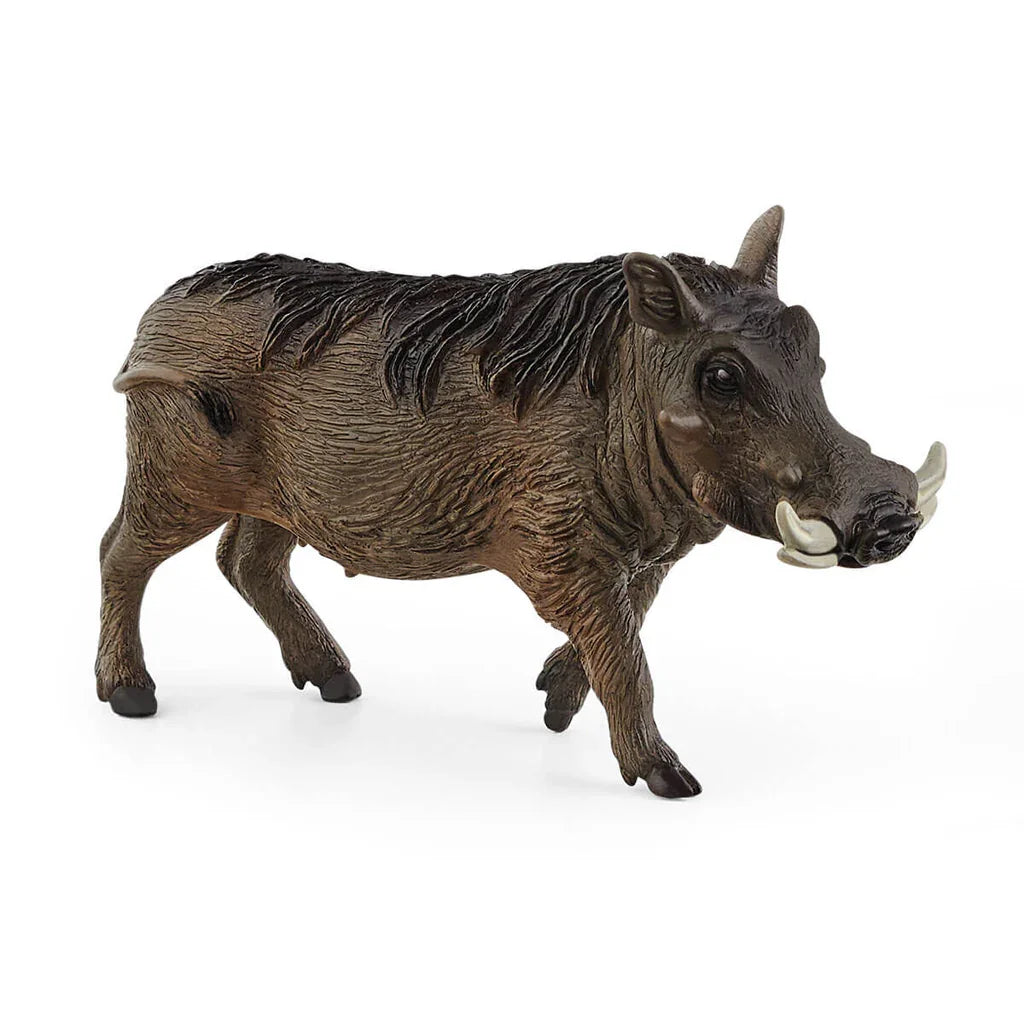 Schleich Warthog animal toy for children Ireland model 14843