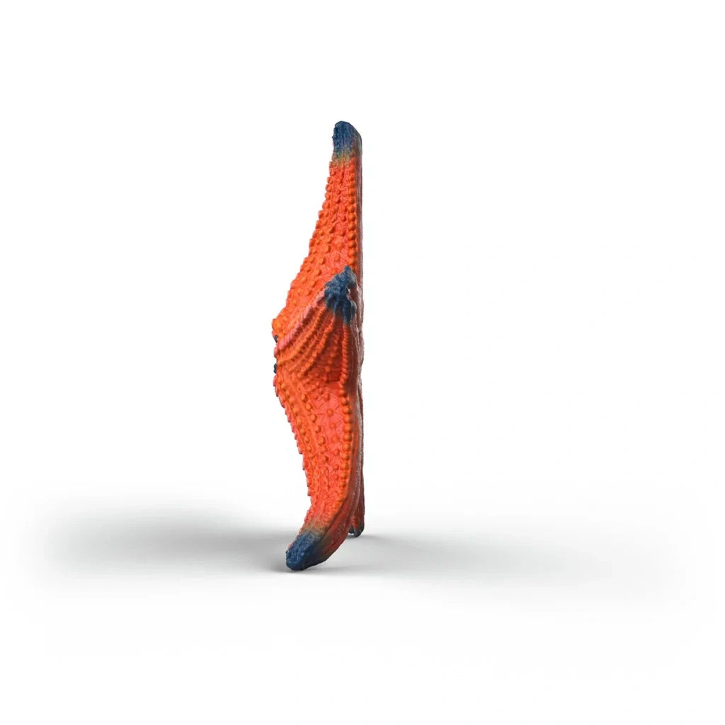 Schleich WILD LIFE Starfish 14902 orange side view showing textured surface
