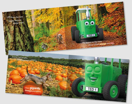 Inside pages of Tractor Ted An Autumn Day book showing pumpkin fields and autumn forest scenes in Ireland