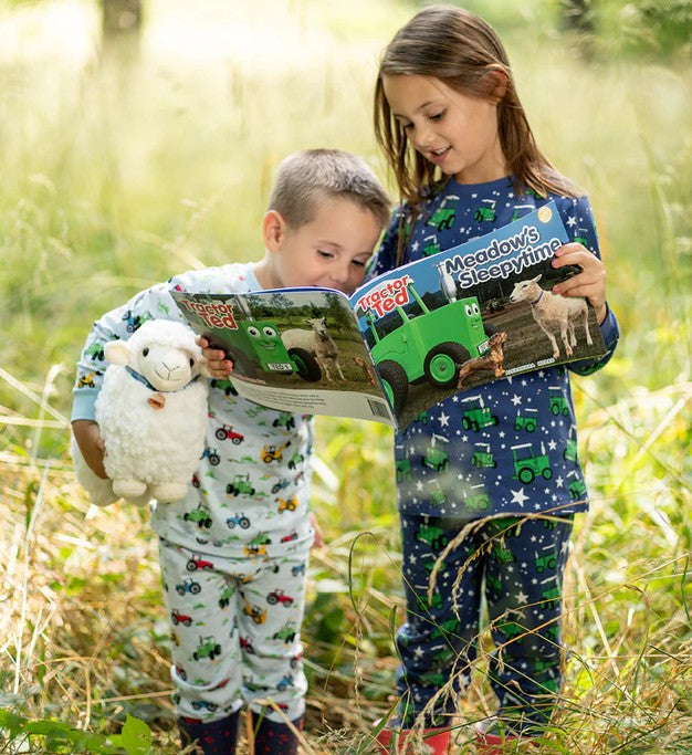 Inside page of Tractor Ted Meadow's Sleepy-time Storybook showing farm animals settling down for the night – Ireland