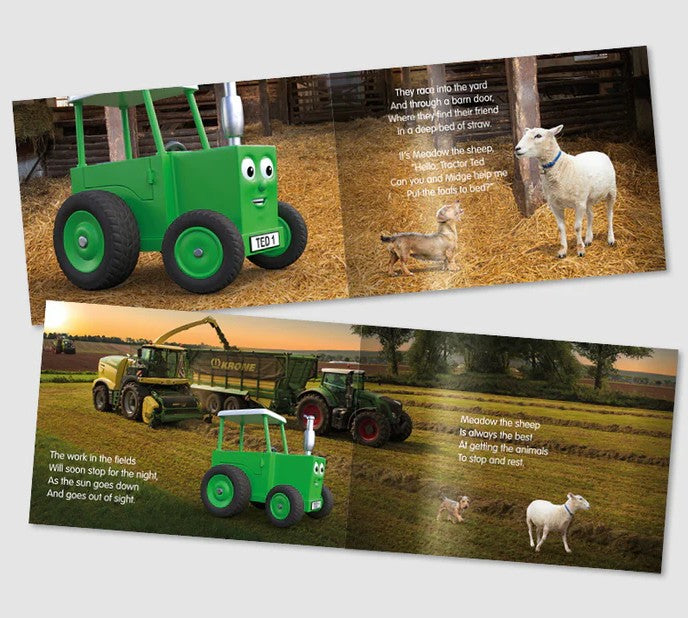 Child reading Tractor Ted Meadow's Sleepy-time Storybook with Meadow the Sheep soft toy – Ireland