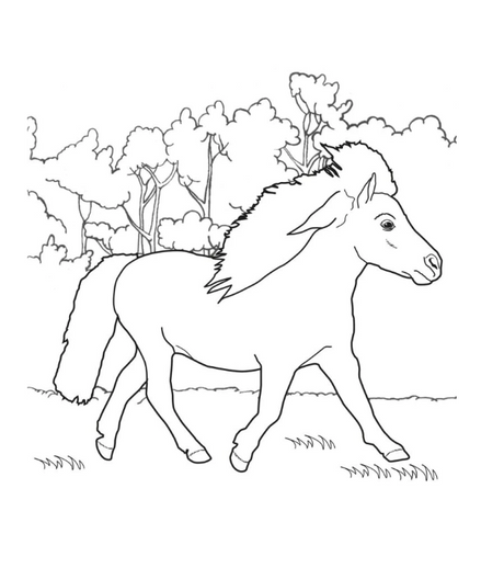 Tractor Ted and Friends Colouring Book