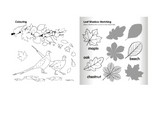 Tractor Ted Fun on the Farm Seasons Book