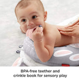 Fisher-Price Baby Bunny Massage Set