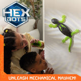 Hex Bots Wall Climber Gecko