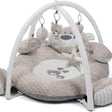Babyzee Bear Necessities Play Gym with padded bear shaped ring, white arches and hanging plush toys including mirror, rattle, star and bear character