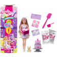 Barbie Pet Party Blonde Doll unboxed with packaging, pet figure, cake and accessories