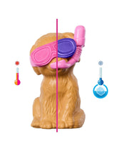 Barbie Puppy Pool Party Playset