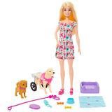 Barbie doll with pet dog in wheelchair and full playset accessories – Ireland