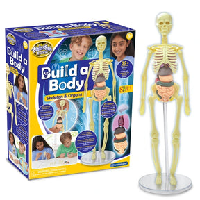 Brainstorm Build A Body retail box beside completed 28 cm skeleton and organ model on display stand