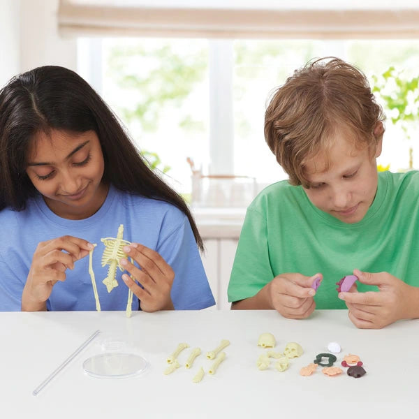 Two children assembling the Brainstorm Build A Body skeleton and organ pieces at a table